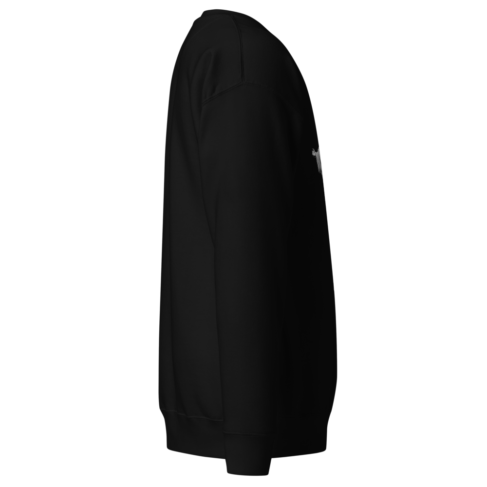 Christ the Redeemer Premium Unisex Sweatshirt